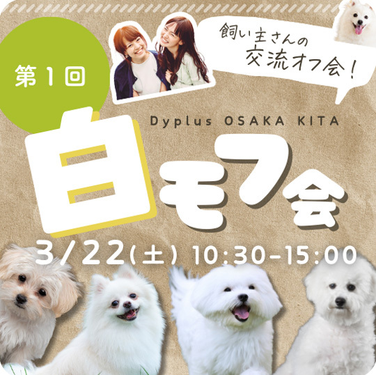 第１回白モフ会開催！