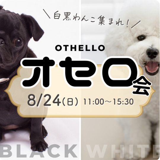 オセロ会