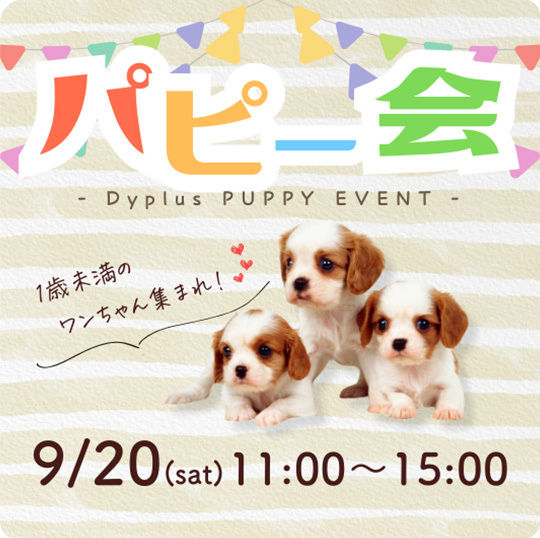 パピー会