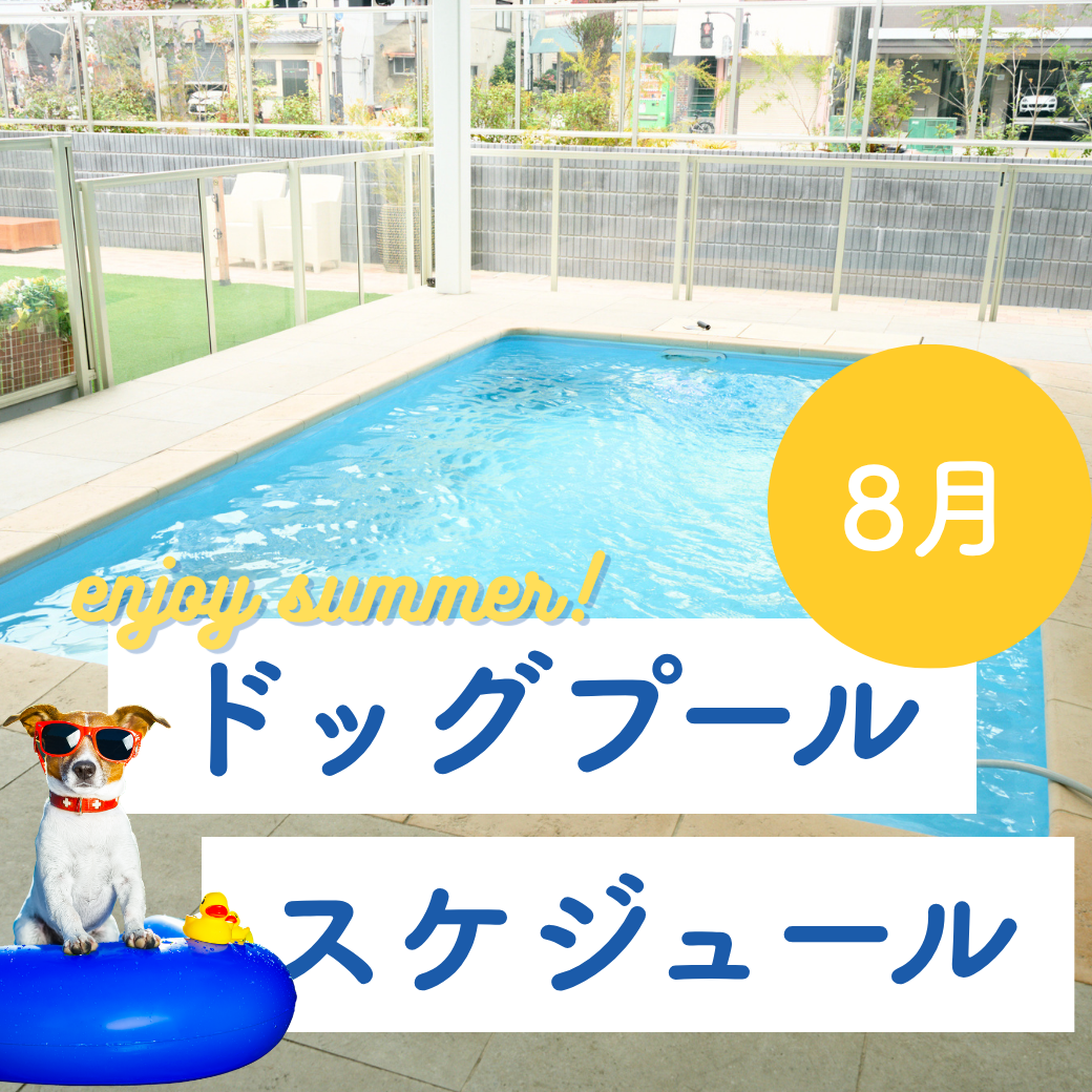8月ドッグプールスケジュール
