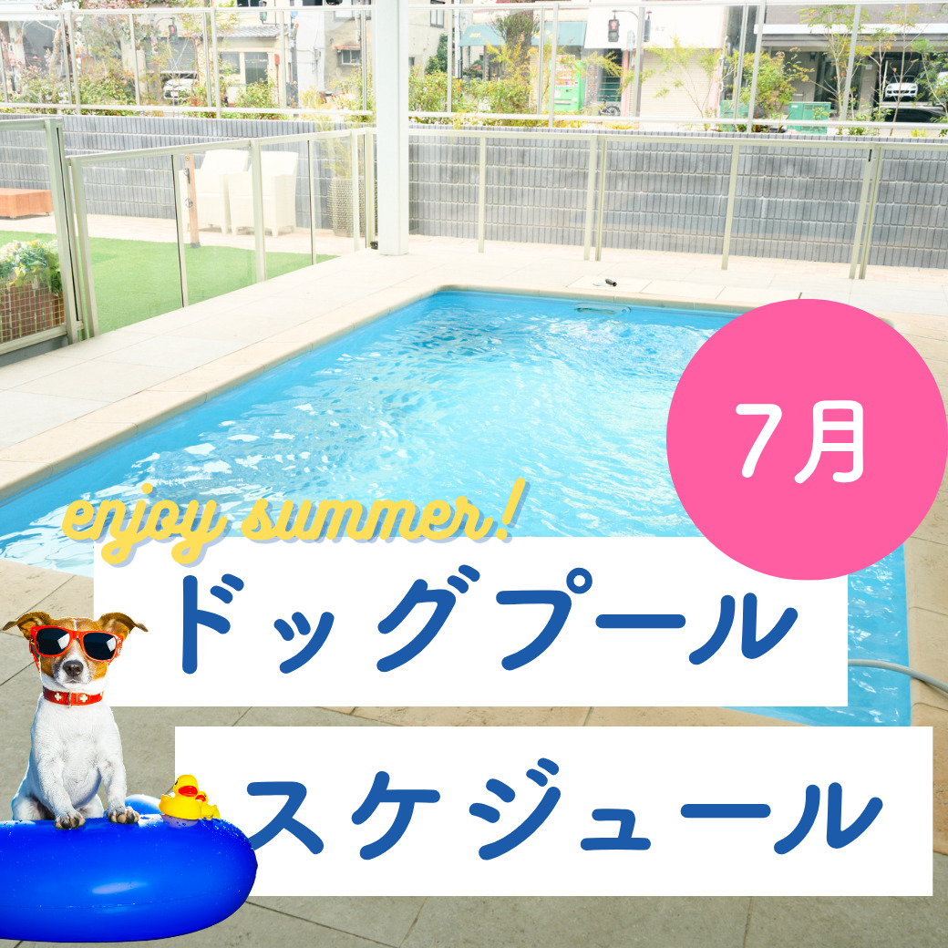 7月ドッグプールスケジュール