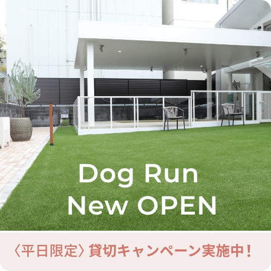 Dog Run New OPEN