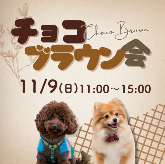 チョコブラウン会