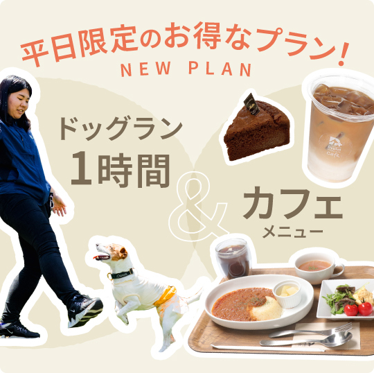 平日限定お得なプラン