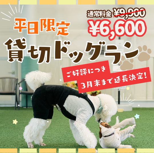 平日限定貸切ドッグラン