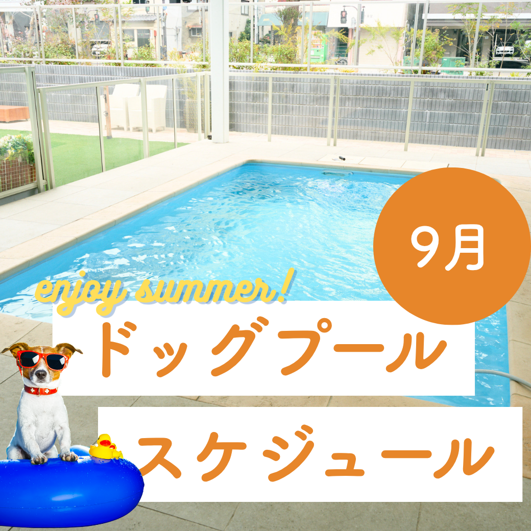 9月ドッグプールスケジュール