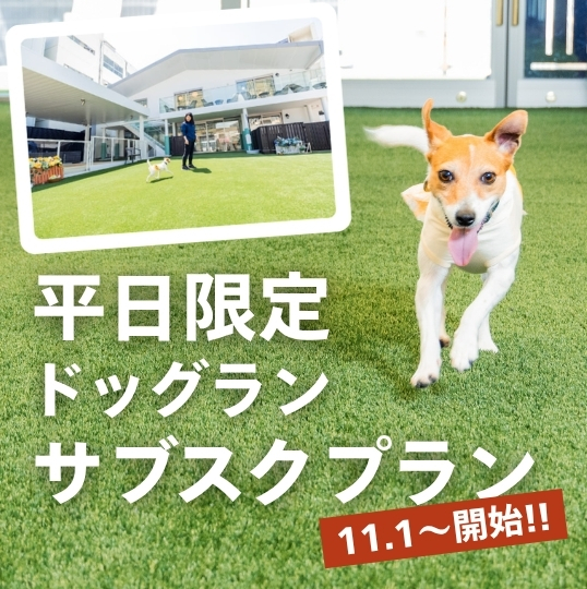 平日限定ドッグランサブスクプラン